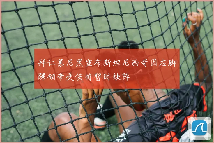 拜仁慕尼黑宣布斯坦尼西奇因右脚踝韧带受伤将暂时缺阵