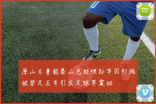 原山东鲁能泰山总经理孙华因行贿被禁足五年引发足球界震动